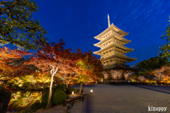 東寺 ライトアップ 4