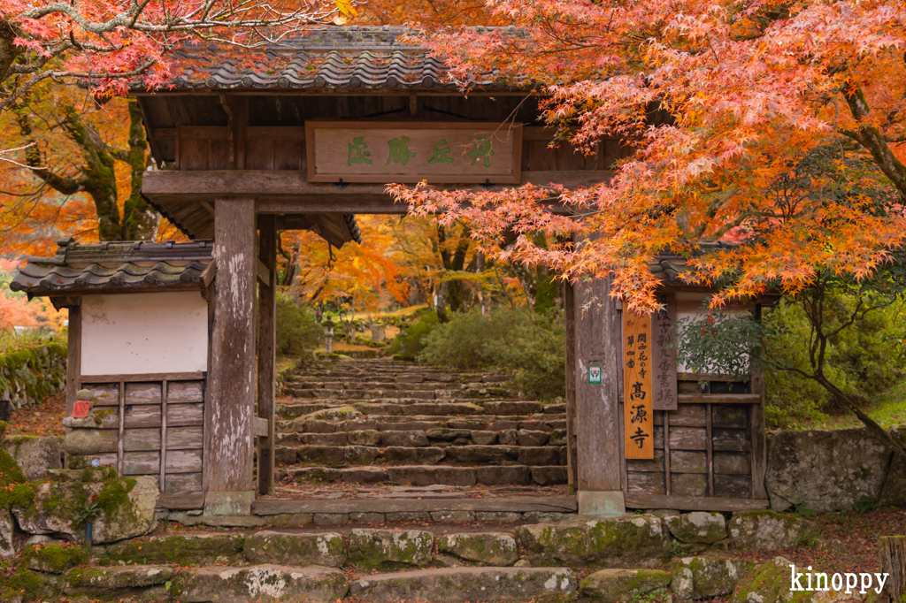 高源寺 紅葉