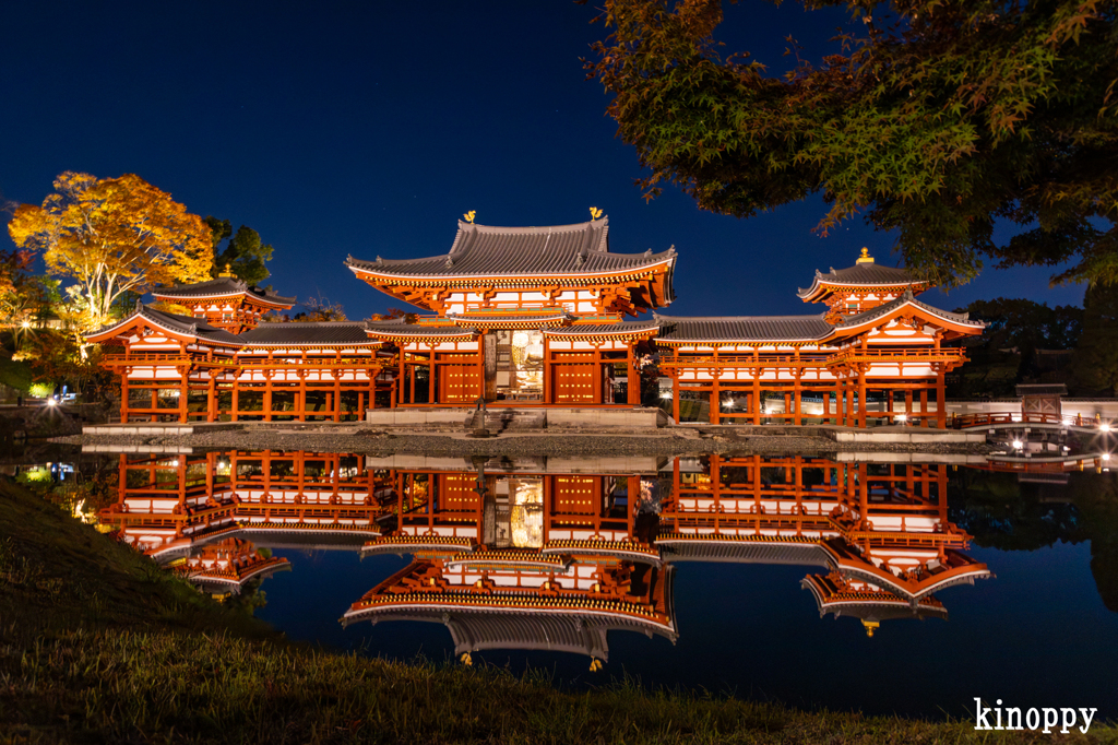 平等院鳳凰堂 ライトアップ 6