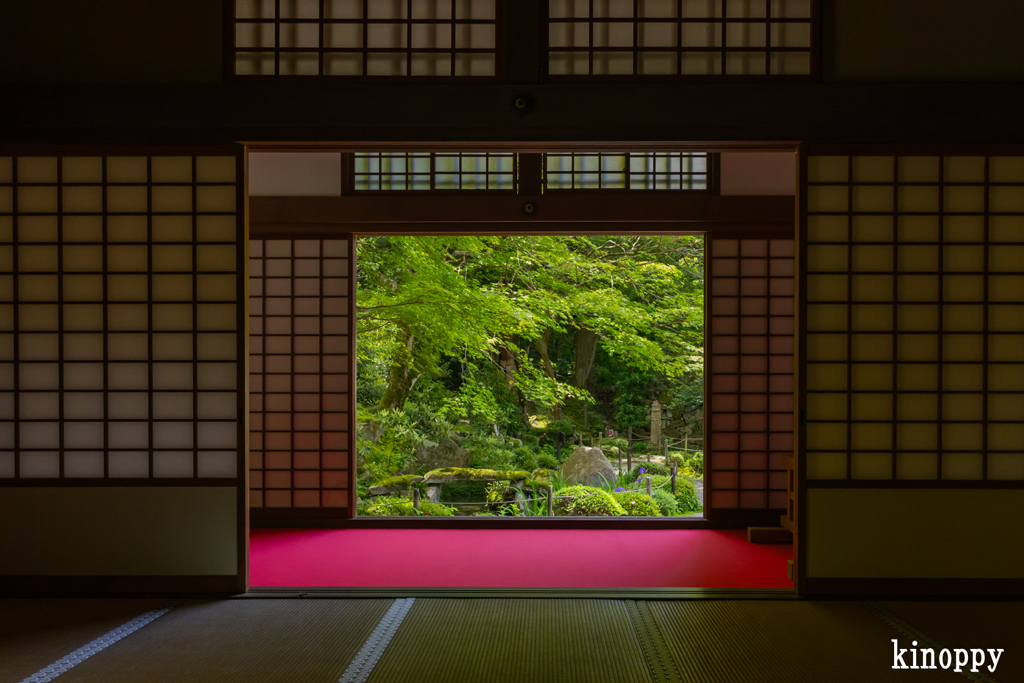 金剛輪寺 新緑 3