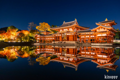 平等院鳳凰堂 ライトアップ 2