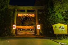 姫路護國神社 新年万灯祭