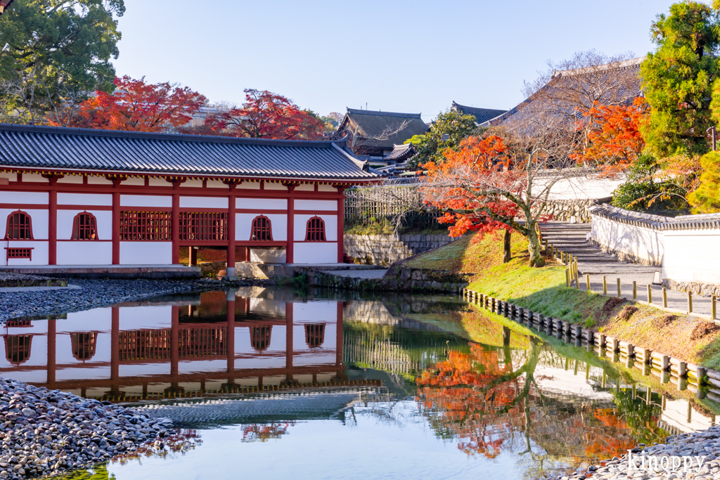 平等院 秋景色 5