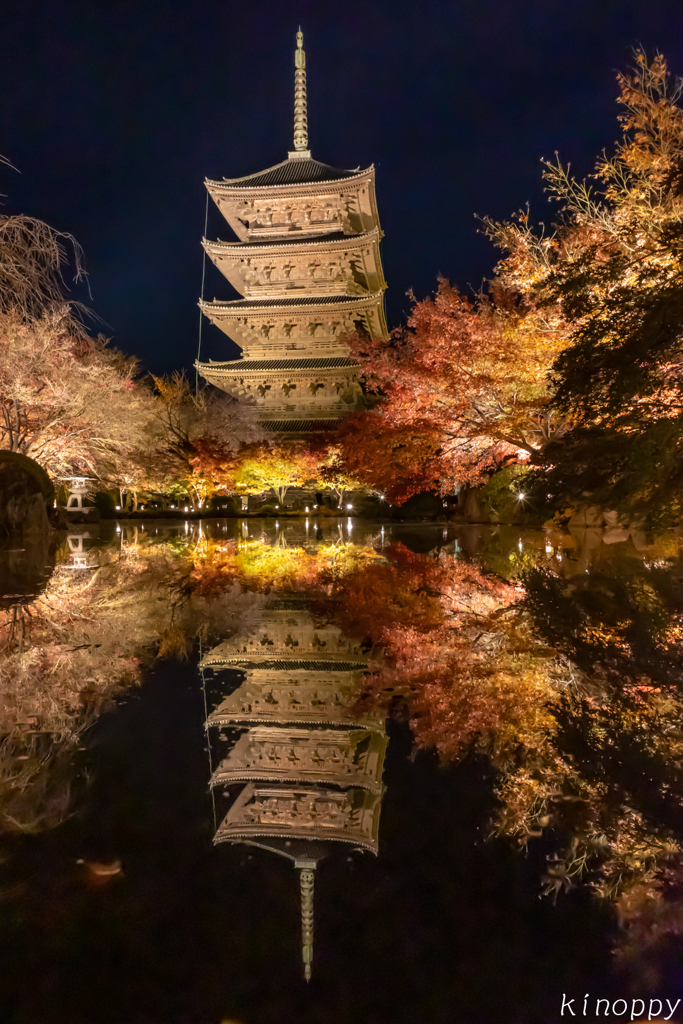東寺 紅葉 ライトアップ 6
