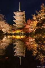 東寺 紅葉 ライトアップ 6