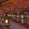 高山寺 紅葉 3