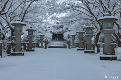 高山寺 雪景色 8