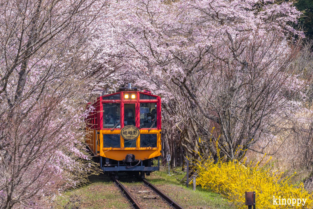 嵯峨野トロッコ列車