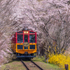 嵯峨野トロッコ列車