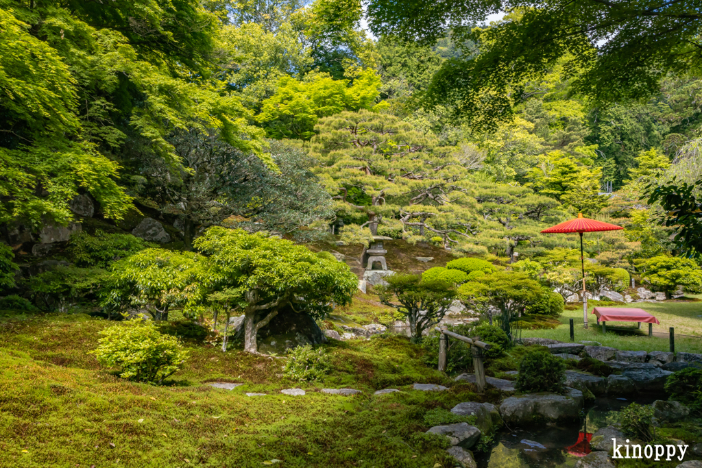 旧竹林院 6