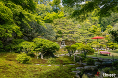 旧竹林院 6