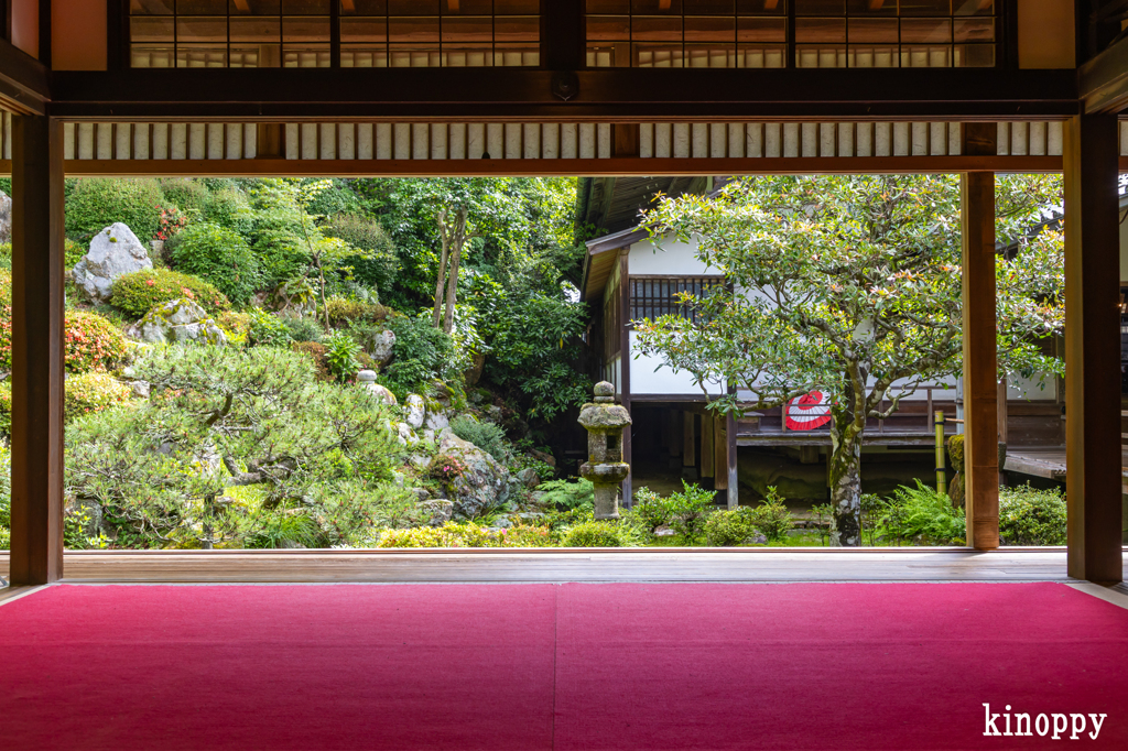 柳谷観音楊谷寺 8