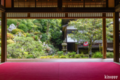 柳谷観音楊谷寺 8