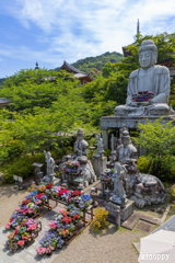 壷阪寺 あぢさゐ回廊 2