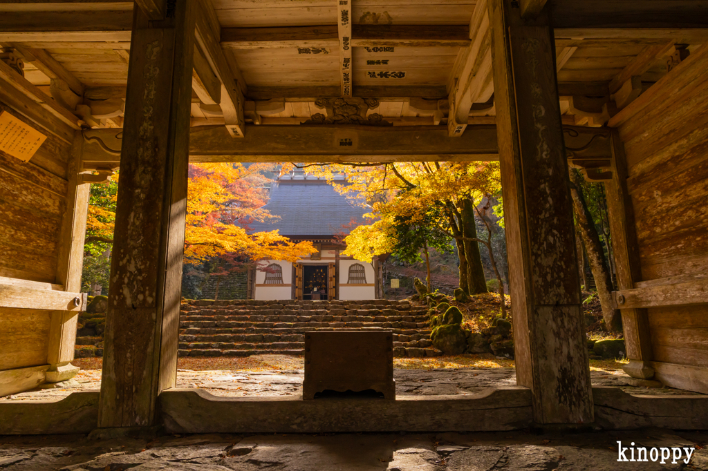 高源寺 紅葉 7