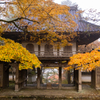 高源寺 紅葉 8