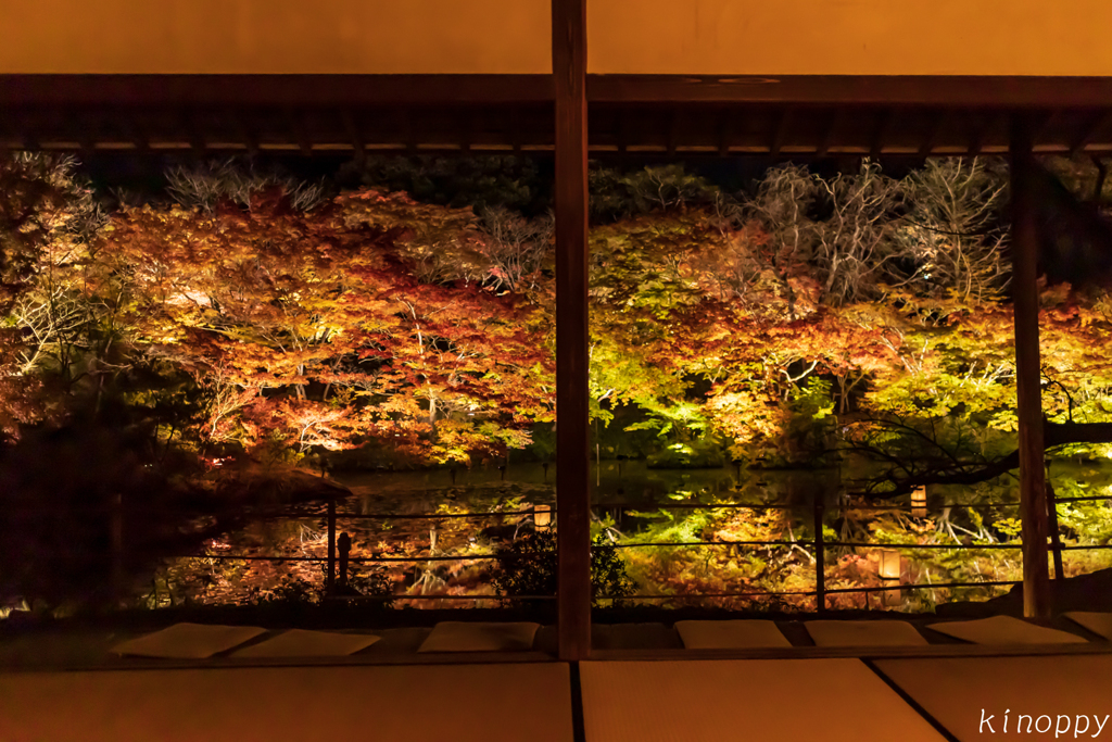 御船山楽園 紅葉 ライトアップ 3