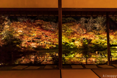 御船山楽園 紅葉 ライトアップ 3