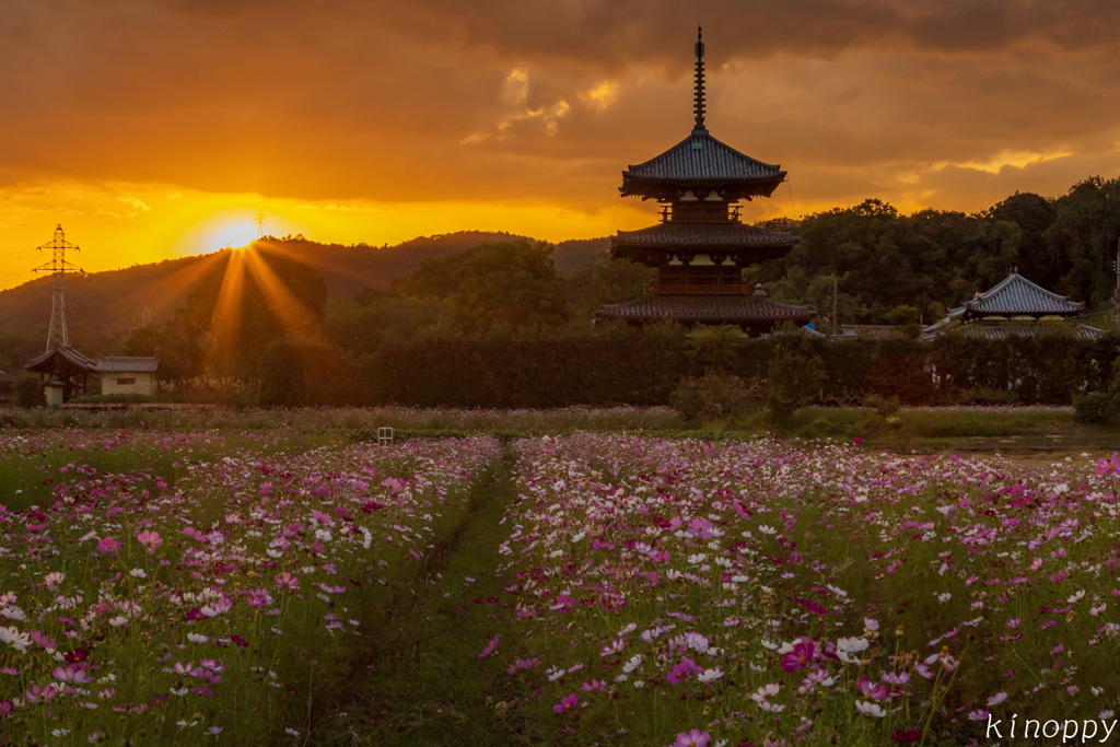 法起寺 夕景 3