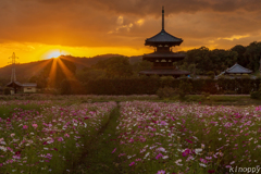 法起寺 夕景 3