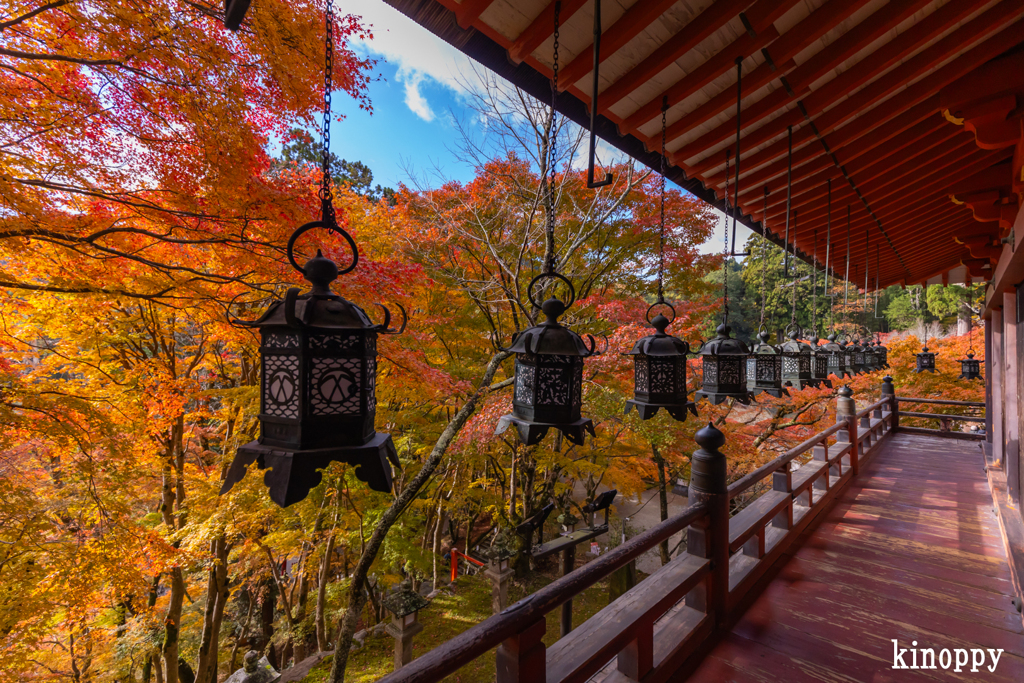 談山神社 紅葉 8