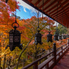 談山神社 紅葉 8