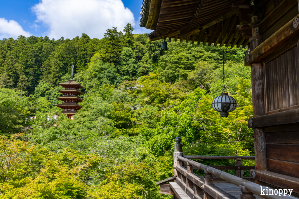 長谷寺 あぢさゐ回廊 5