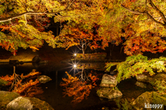 多可町余暇村公園 ライトアップ 4