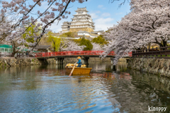 姫路城 春景色 5