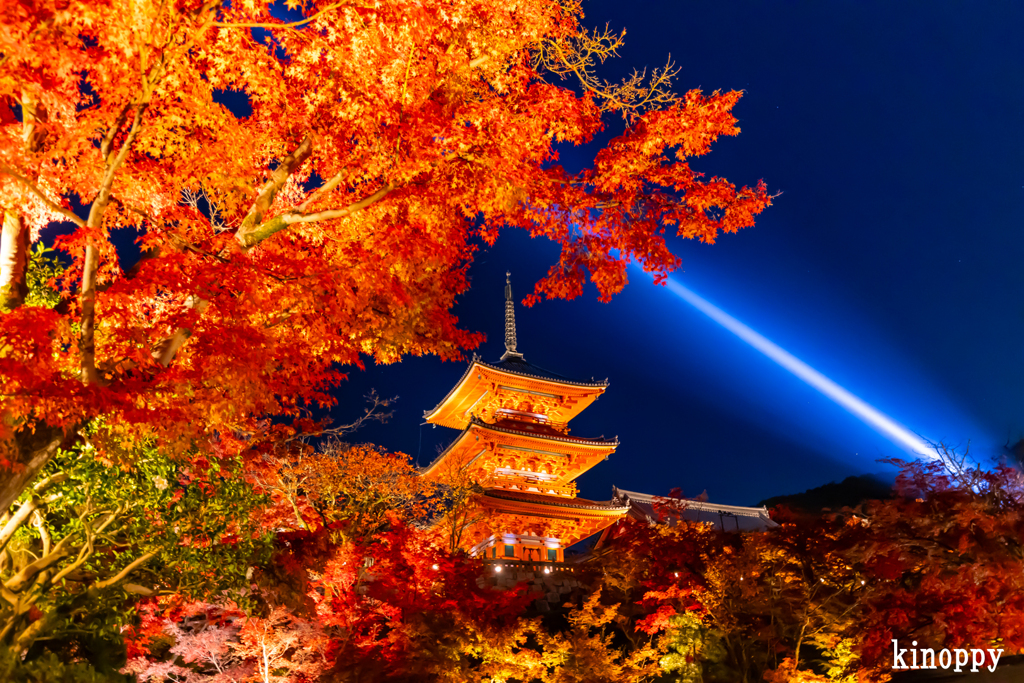 清水寺 紅葉 4