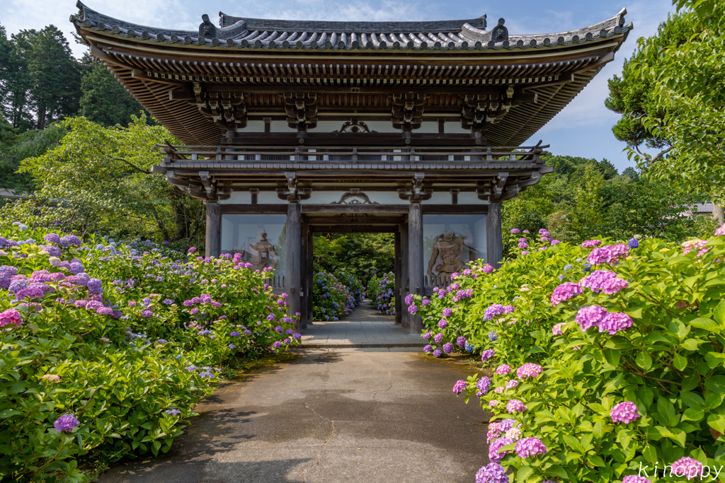 華観音寺 2