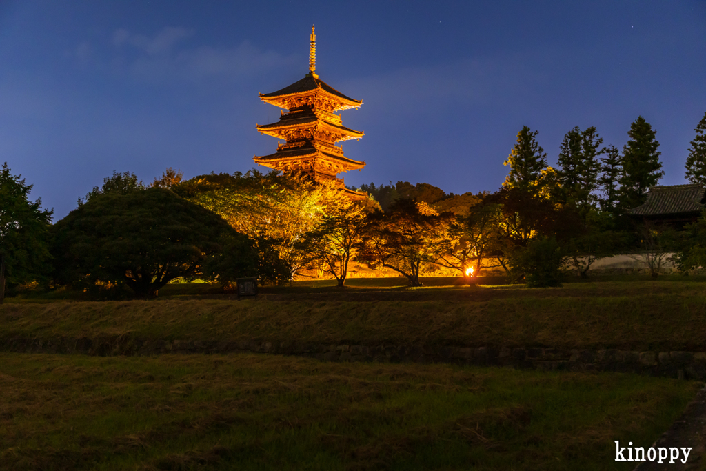 備中国分寺 ライトアップ