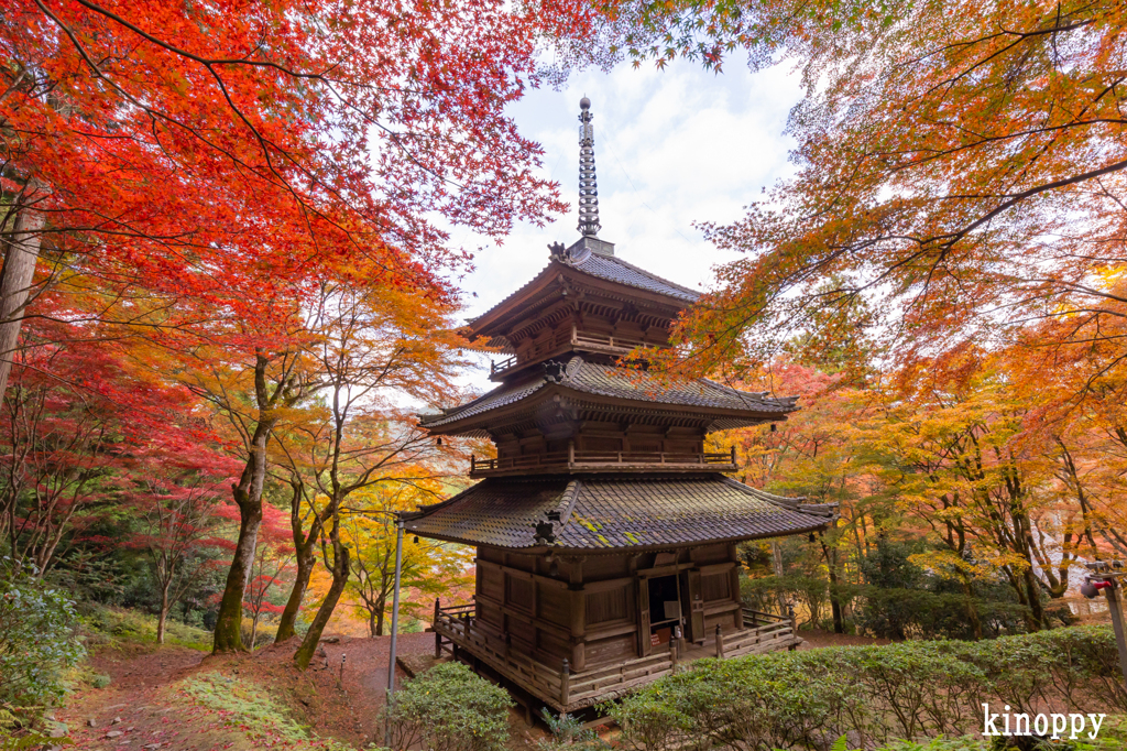 高源寺 紅葉 3