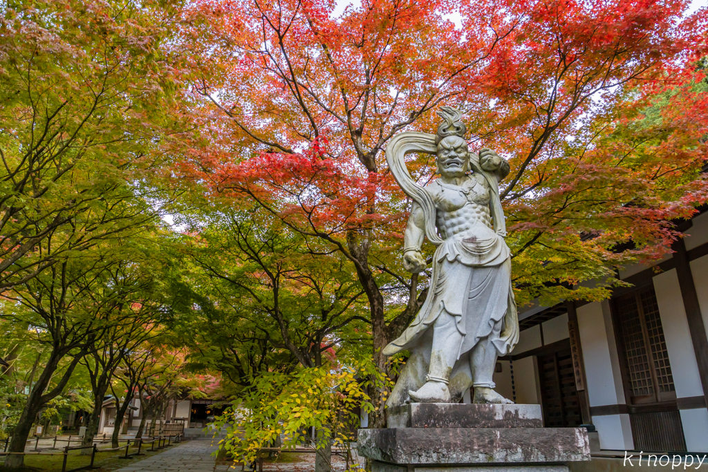 呑山観音寺 紅葉 2