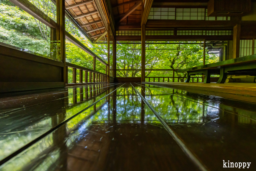 瑠璃光院 3