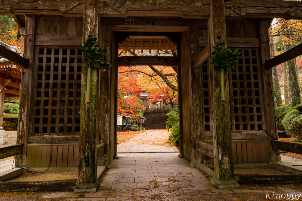 大興善寺 紅葉 3