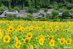 かやぶきの里 2