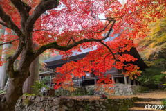 大国寺 紅葉 2