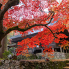 大国寺 紅葉 2