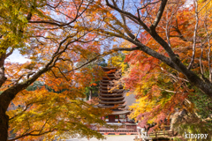 談山神社 紅葉