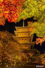 東寺 紅葉 ライトアップ 8