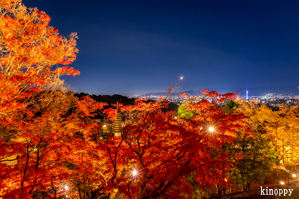 清水寺 紅葉 ライトアップ 8