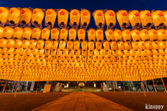 姫路靖國神社 新年万灯祭 2
