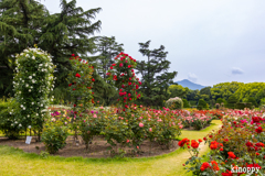 京都府立植物園