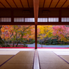 圓光寺 紅葉 5