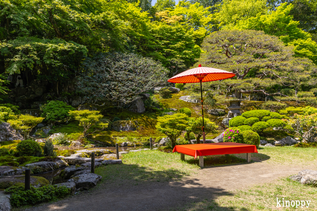 旧竹林院 5