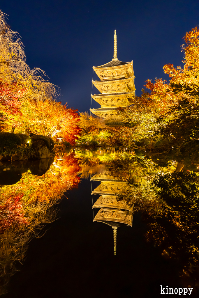 東寺 紅葉 4