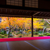 圓光寺 紅葉 2