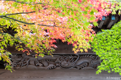 呑山観音寺 紅葉 6