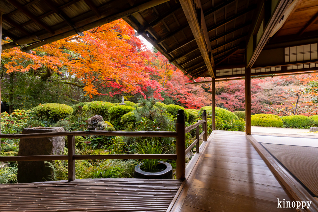 詩仙堂 紅葉 3